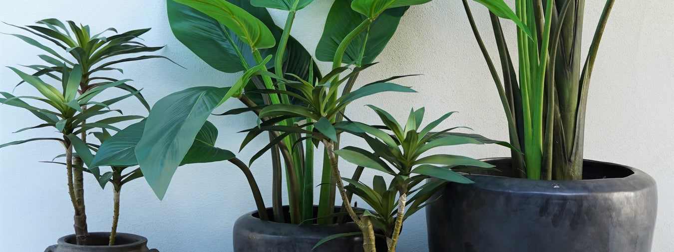 Artificial Plants - Biku Furniture & Homewares