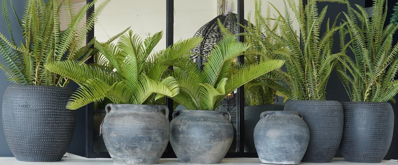 Pots & Artificials - Biku Furniture & Homewares