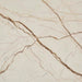 Amara Round Leg Oval Coffee Table - Brown Vein Marble