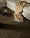 Anni Floor Rug in Mangrove, beside a cream sofa with a draped camel throw and round coffee table