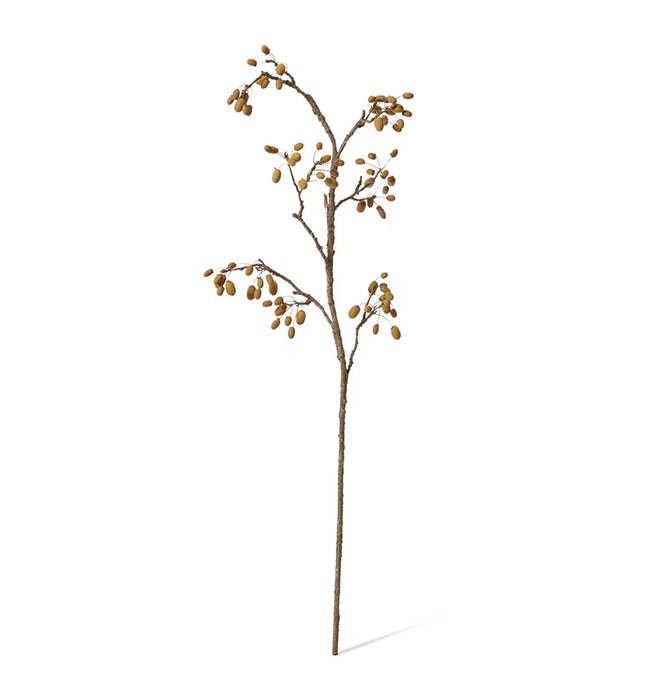 Briar Rosehip Branch