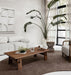dBodhi Artisan Coffee Table