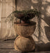 dBodhi Curve Side Table