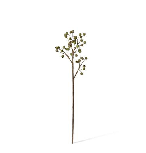 Everlea Nut Stem