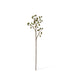 Everlea Nut Stem