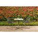 Harbor Leisure Dining Chair