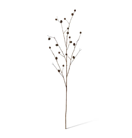 Thorne Pod Branch