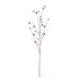 Thorne Pod Branch