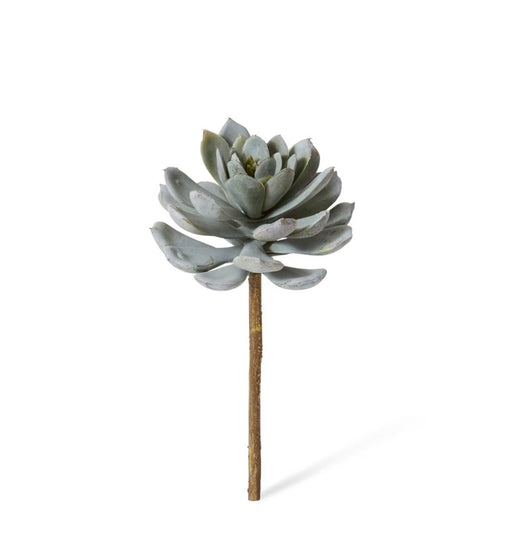 Verdantia Succulent Stem M