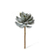 Verdantia Succulent Stem M