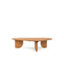 dBodhi Ace Coffee Table