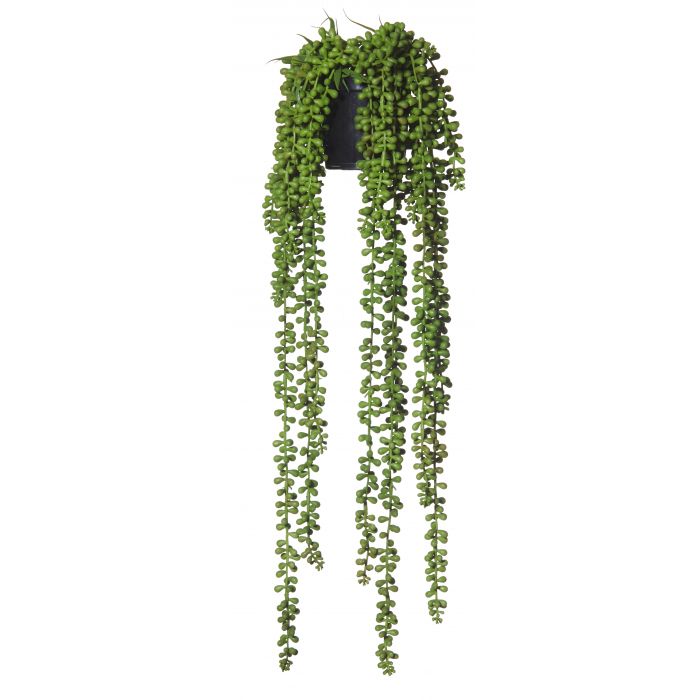 Hanging Pearls Garden Pot