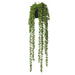 Hanging Pearls Garden Pot