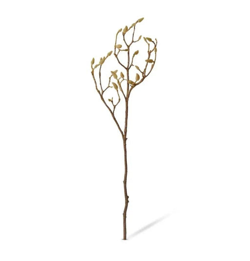 Magnolia Bloom Branch