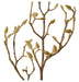 Magnolia Bloom Branch