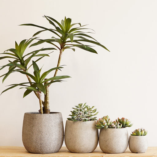 Mateo Ceramic Tub Pot