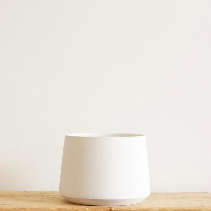 Allegra Pot