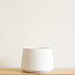 Allegra Pot