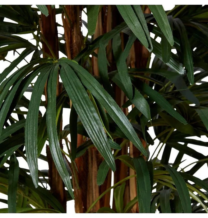 Palm Raphis Green 180cm