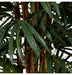 Palm Raphis Green 180cm