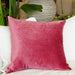 Philia Velvet Cushion