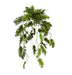 Philodendron Hanging Planter