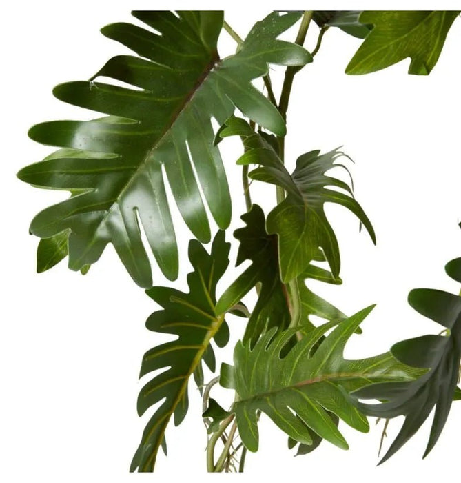 Philodendron Hanging Planter
