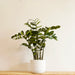 Sidney Ceramic Planter