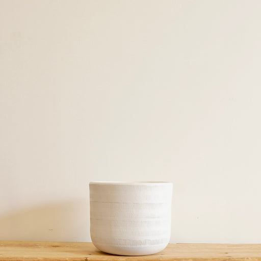 Sidney Ceramic Planter