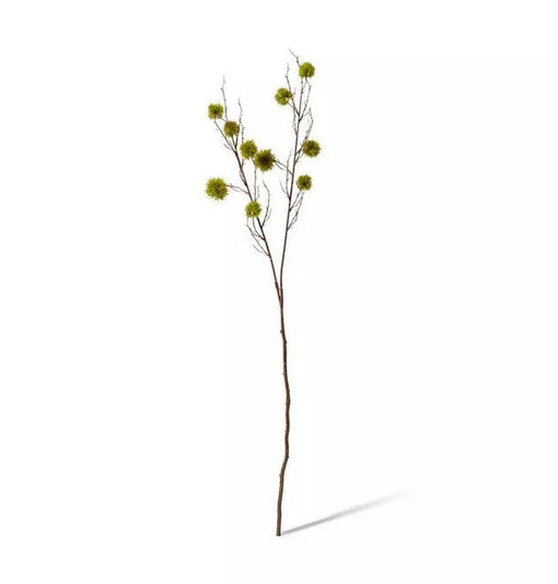 Verdant Chestnut Branch