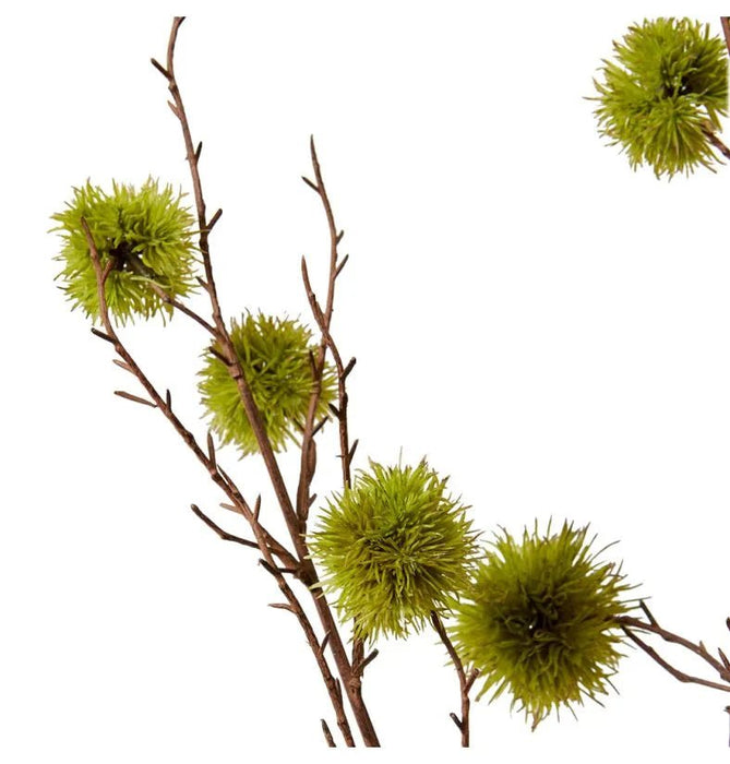 Verdant Chestnut Branch