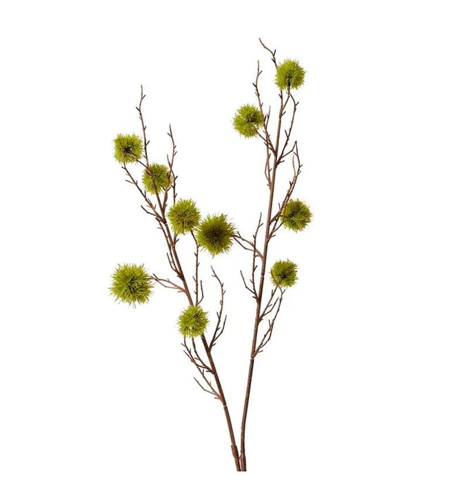 Verdant Chestnut Branch