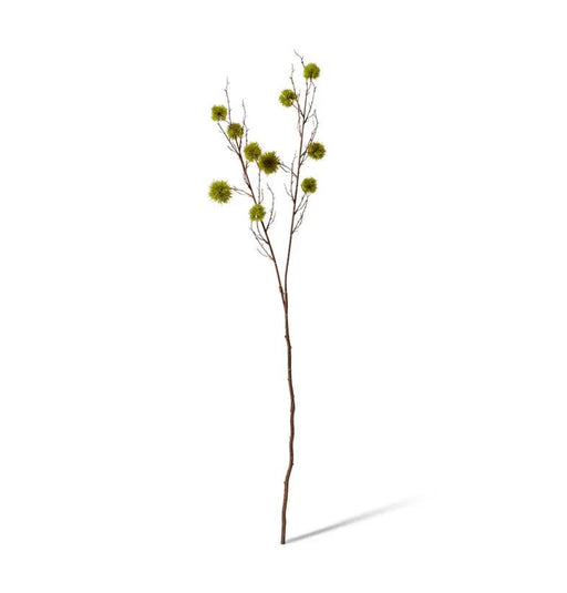 Verdant Chestnut Branch