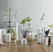Urban Rituelle Hand & Body Wash