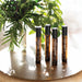 Urban Rituelle Perfume