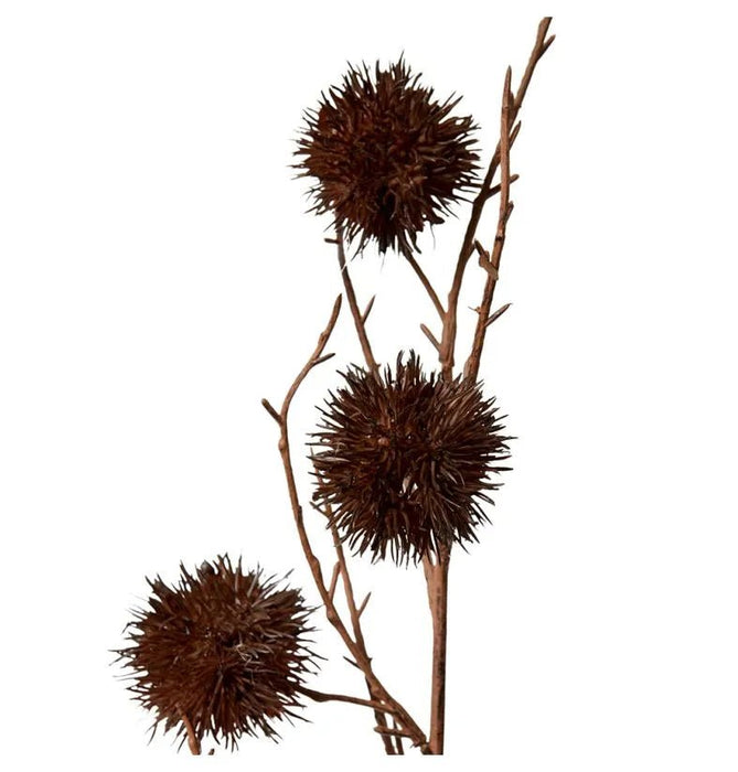 Verdant Chestnut Branch