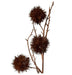 Verdant Chestnut Branch